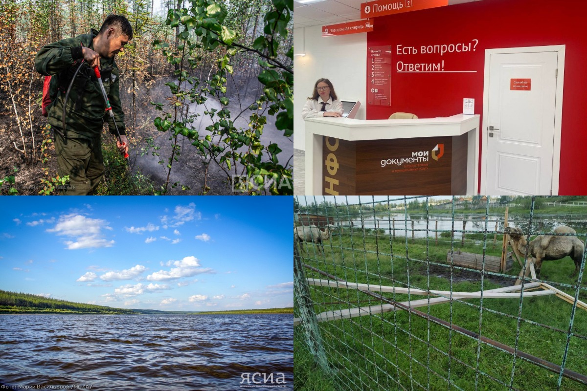 Что произошло в Якутии 26 июля: обзор событий за день