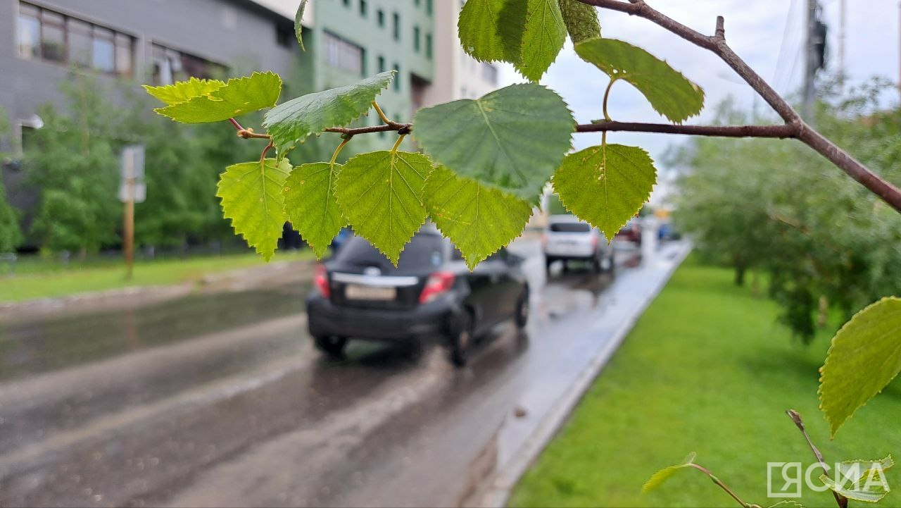 Погода будет резко меняться: в Якутии прогнозируют понижение температуры, дожди и грозы
