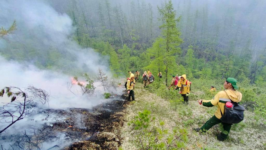 Восемь лесных пожаров потушили за день в Якутии