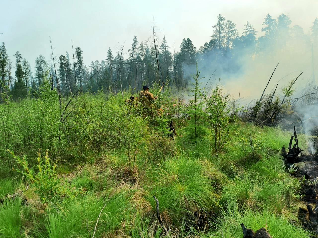 За сутки в Якутии потушили 24 лесных пожара