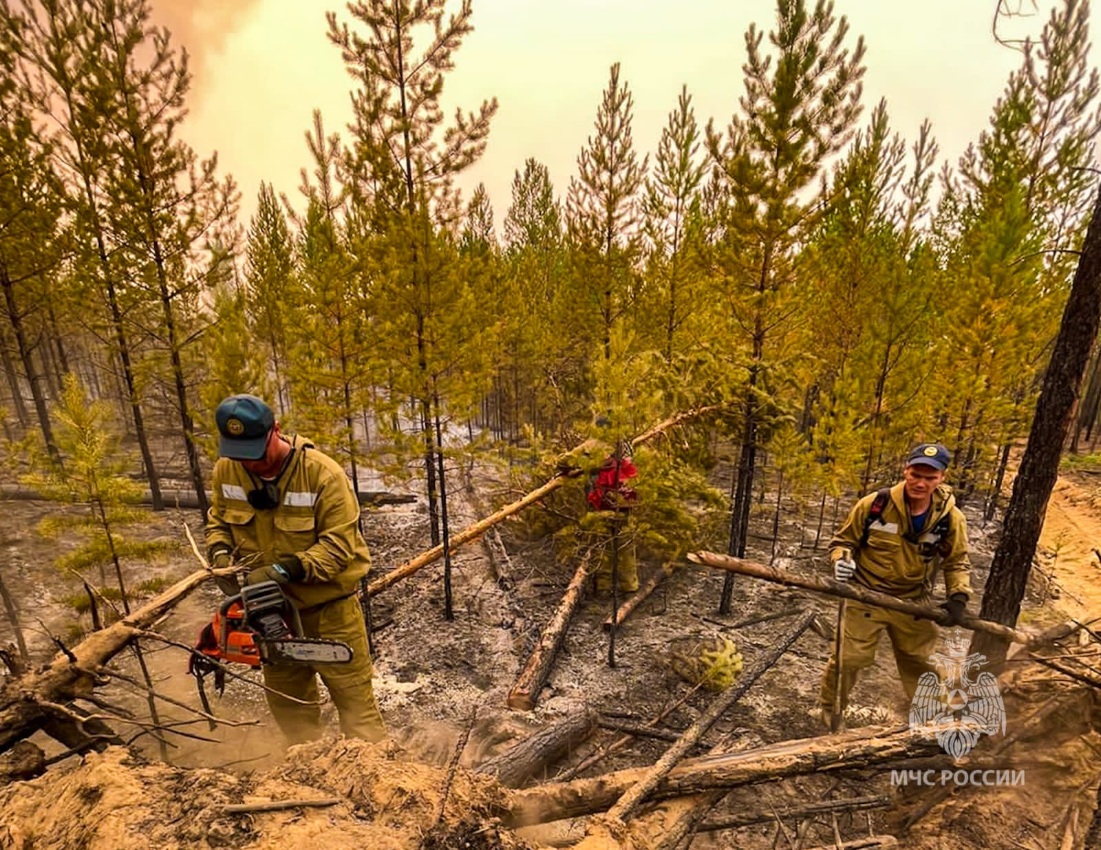 Более 1200 профессиональных парашютистов и десантников тушат пожары в Якутии