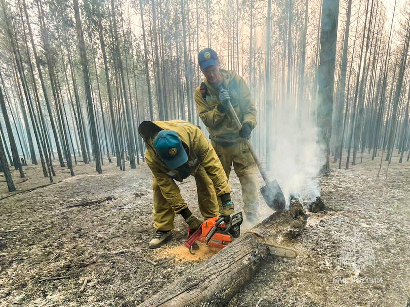 Правительство компенсирует Якутии затраты на тушение лесных пожаров