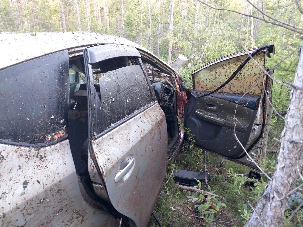 В Якутии автомобиль врезался в лошадь. Пострадали два человека