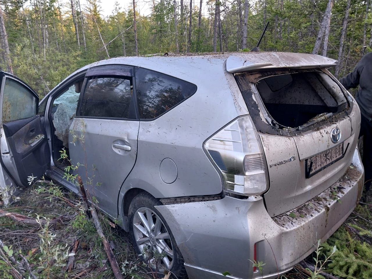 В Якутии автомобиль врезался в лошадь. Пострадали два человека — ЯСИА