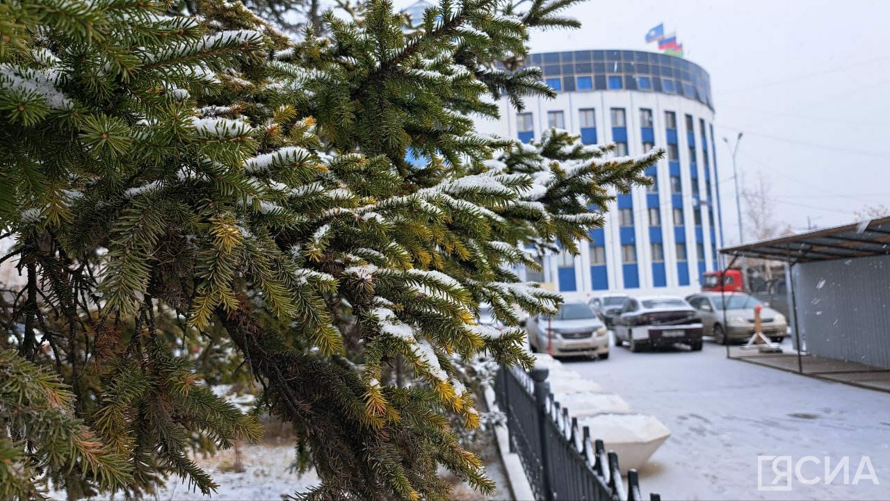 Мокрый снег и порывистый ветер прознозируют в Якутии в воскресенье 8 октября
