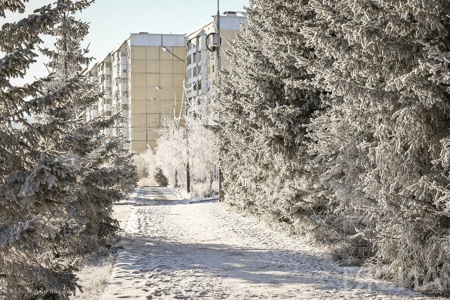 Преимущественно без осадков и до -18 градусов днем: погода в Якутии на 9 февраля