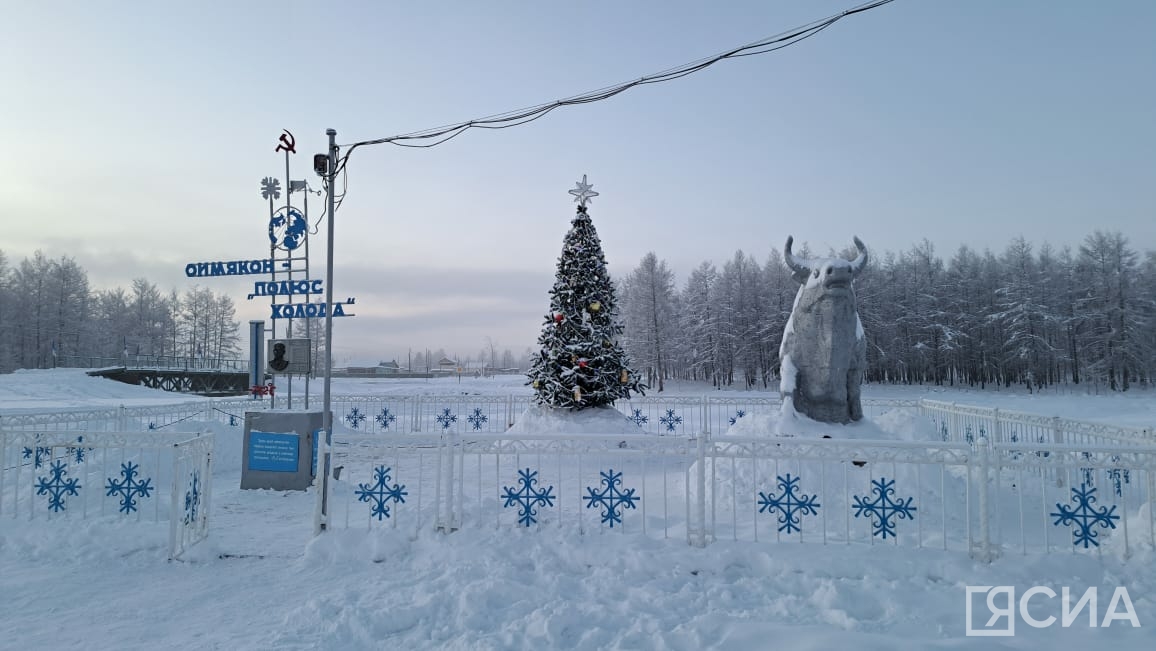 Фото: Анна Лебединская/ЯСИА