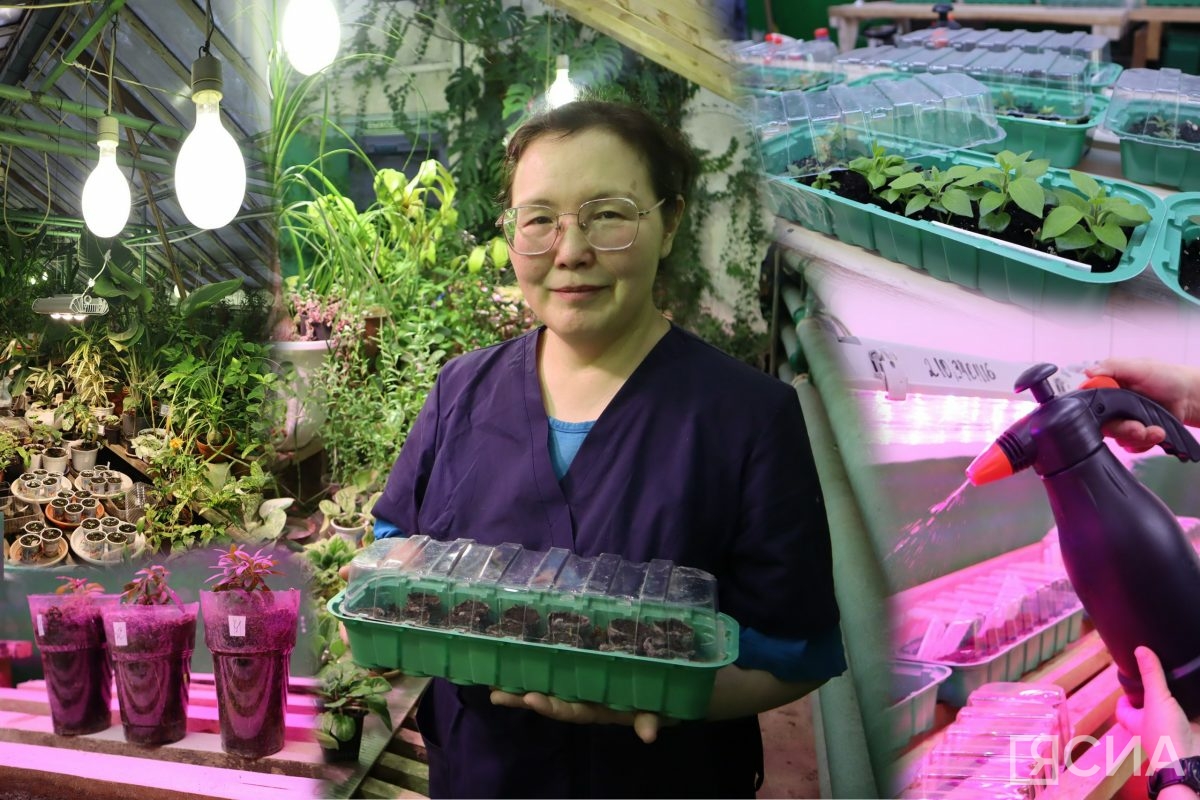 Пора сажать рассаду: эксперт рассказала о лучших сортах овощей для выращивания в Якутии