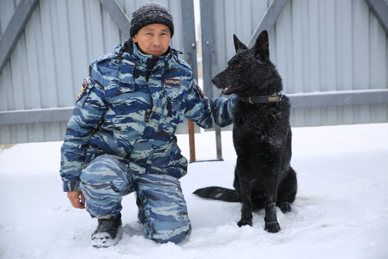 В Якутске служебный пёс по кличке Фараон помог задержать преступников