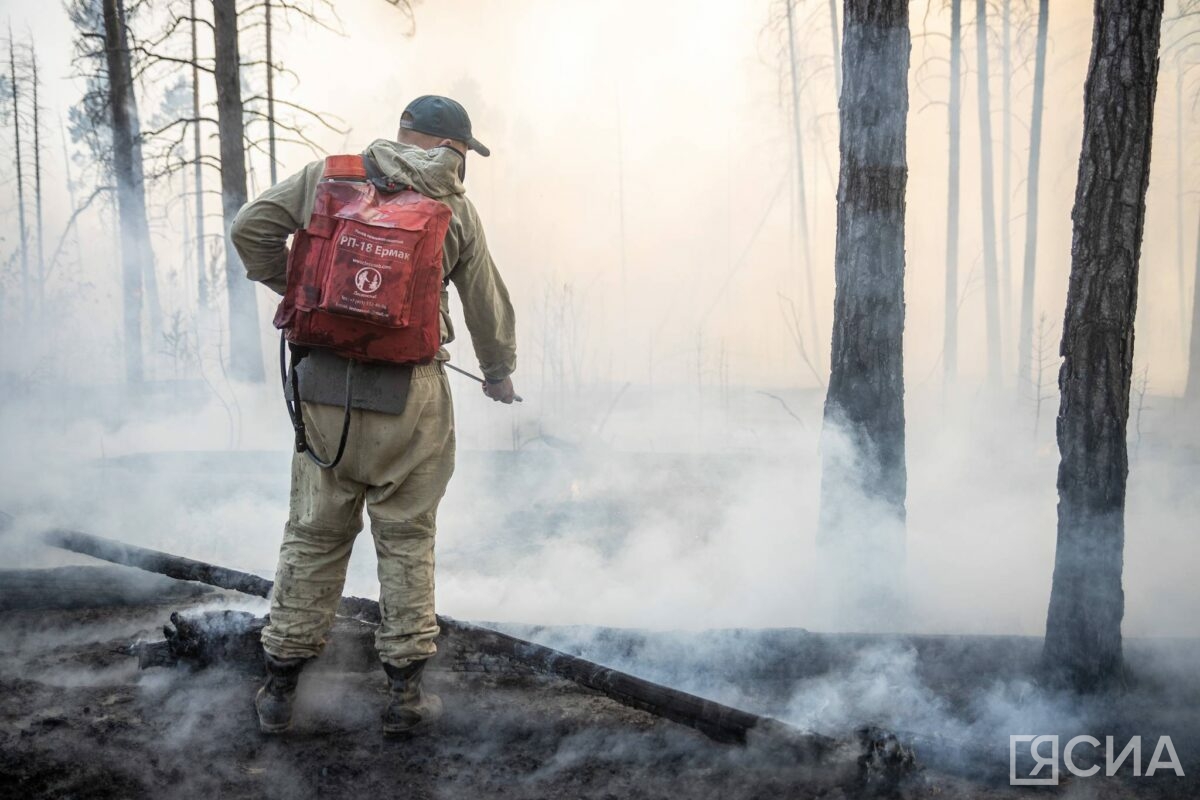 Первые природные пожары зафиксировали в Якутии