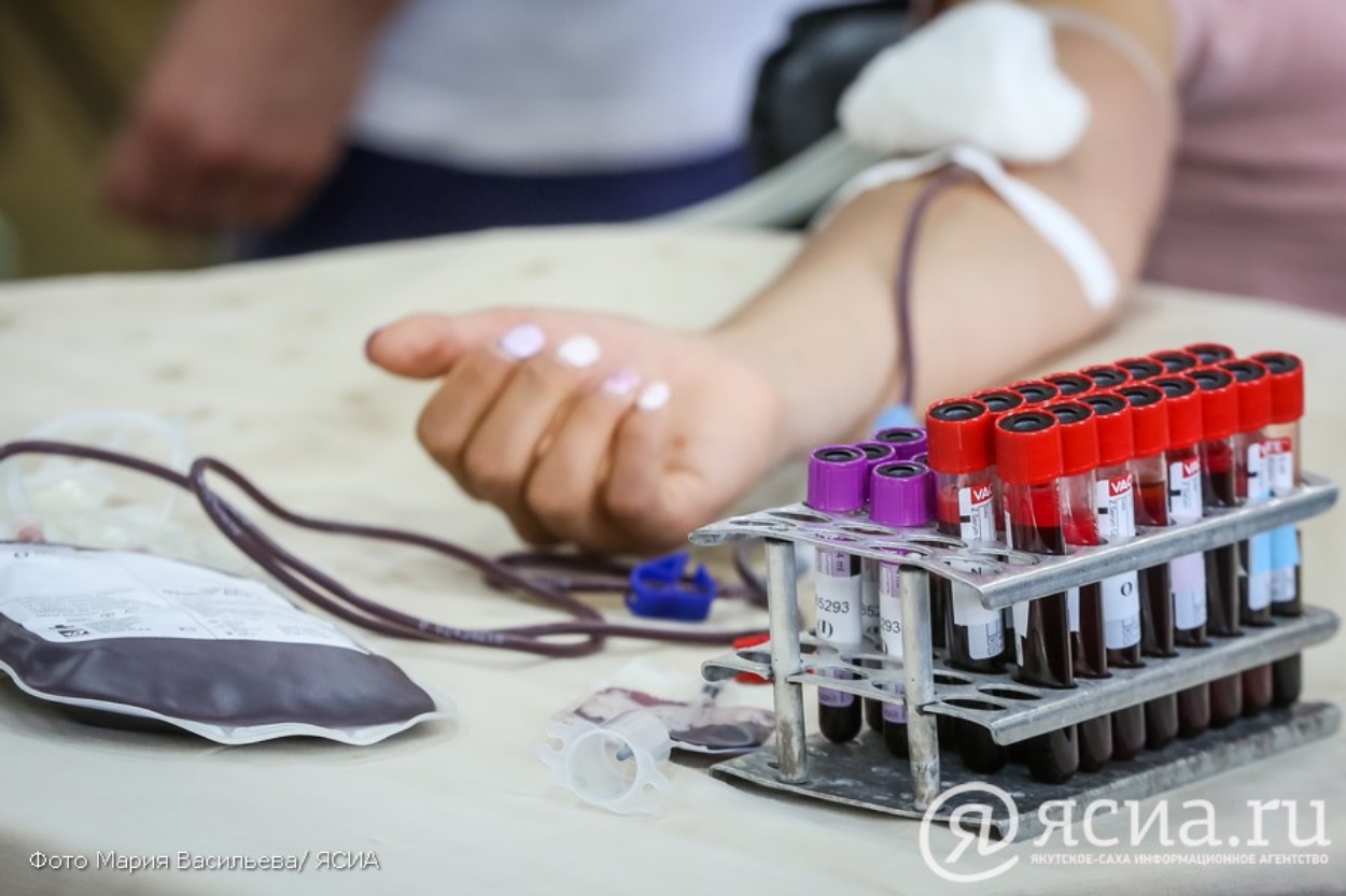 Как стать донором: где сдать кровь в Якутске, и сколько за это платят