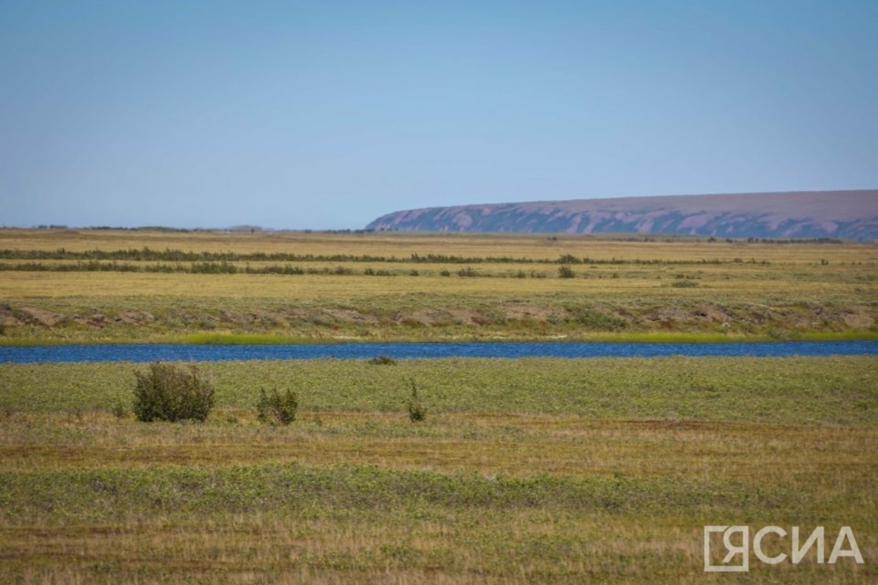 В Якутии восстановят 3 тысячи гектаров сельскохозяйственных угодий