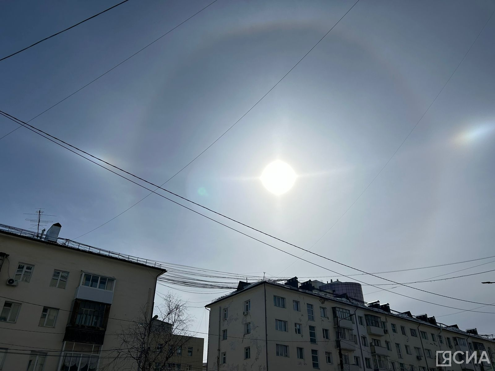 Фотофакт: в небе над Якутском появилось солнечное гало