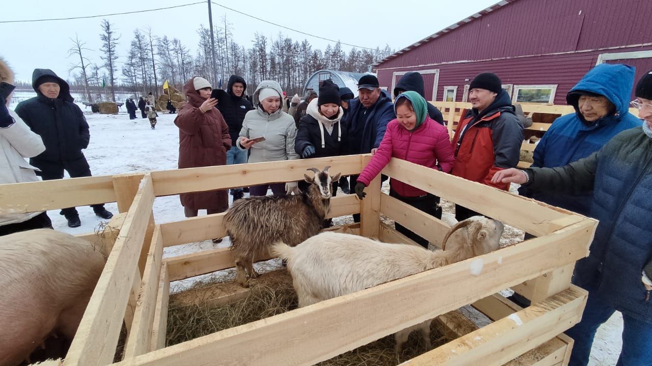 Вилюйский улус — Новости Якутии и Якутска — свежие новости онлайн на сайте  ysia.ru — ЯСИА