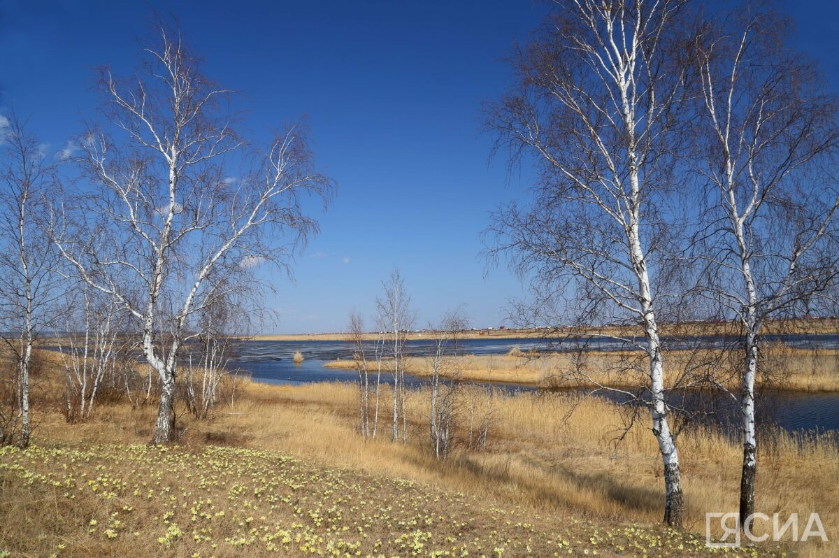 В Росреестре по Якутии предупредили об ответственности за сжигание сухой травы