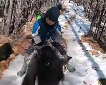 Видеофакт: в якутском селе сонный мальчик верхом на лошади следует за отцом