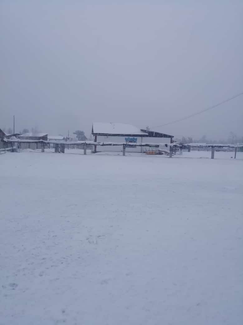 Снег в Вилюйском районе. Фото: социальные сети