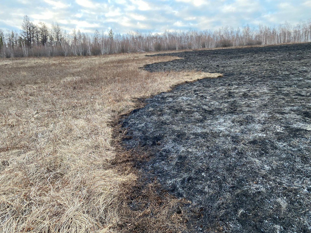 Природные пожары тушат в Амгинском районе Якутии
