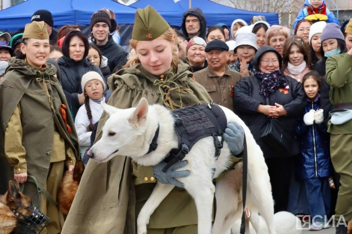 В Якутске на площади Победы прошли показательные выступления собак