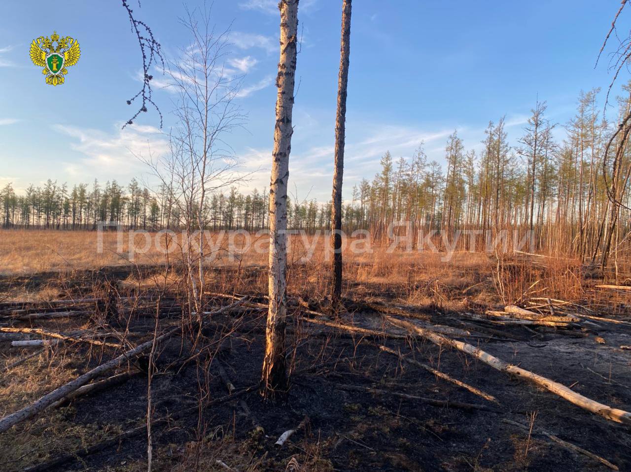 Фото: прокуратура Якутии