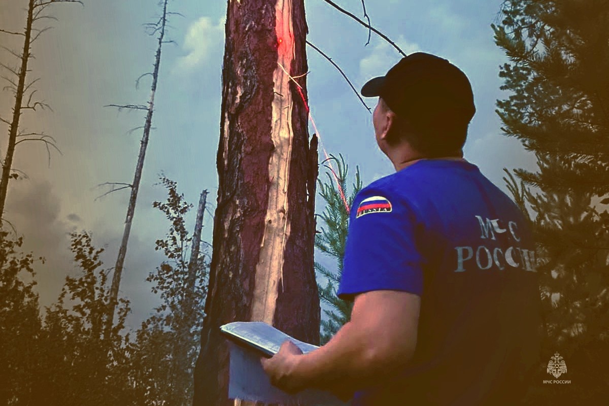 Рейдовые мероприятия усилят в лесах Якутии