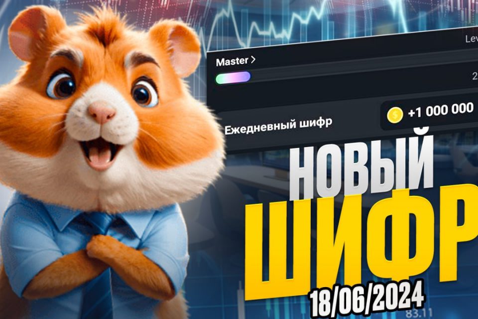 Шифр hamster kombat 24 августа