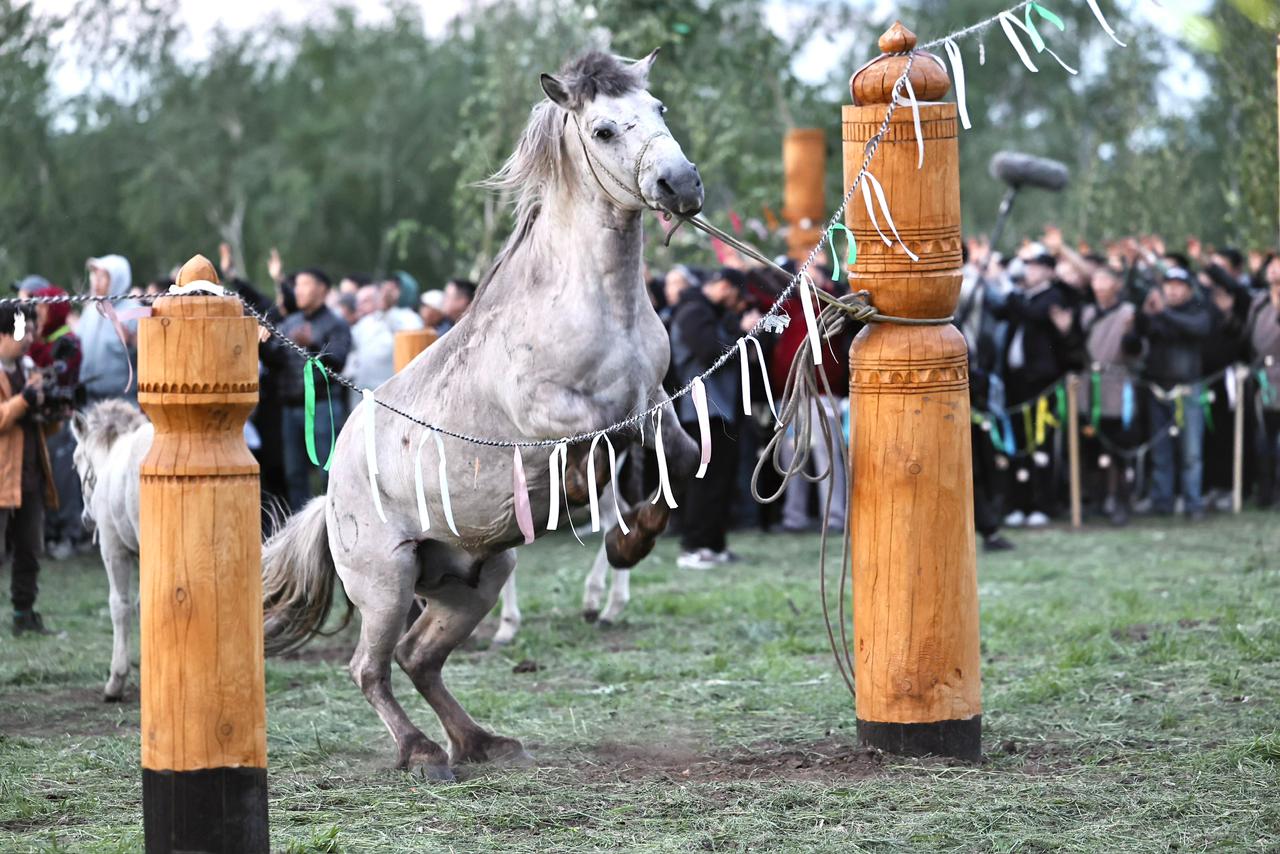 Фото: Мария Васильева/ ЯСИА 