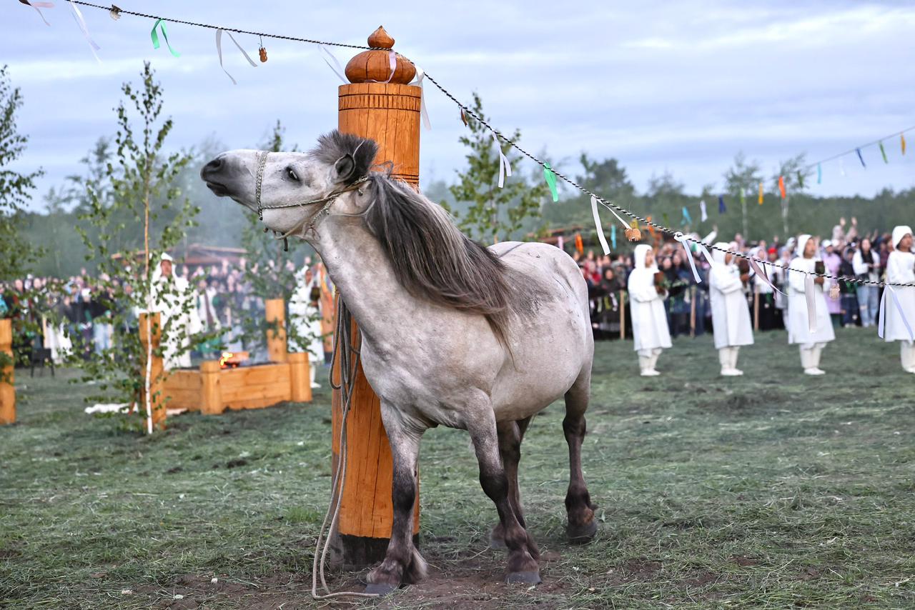 Фото: Мария Васильева/ ЯСИА 