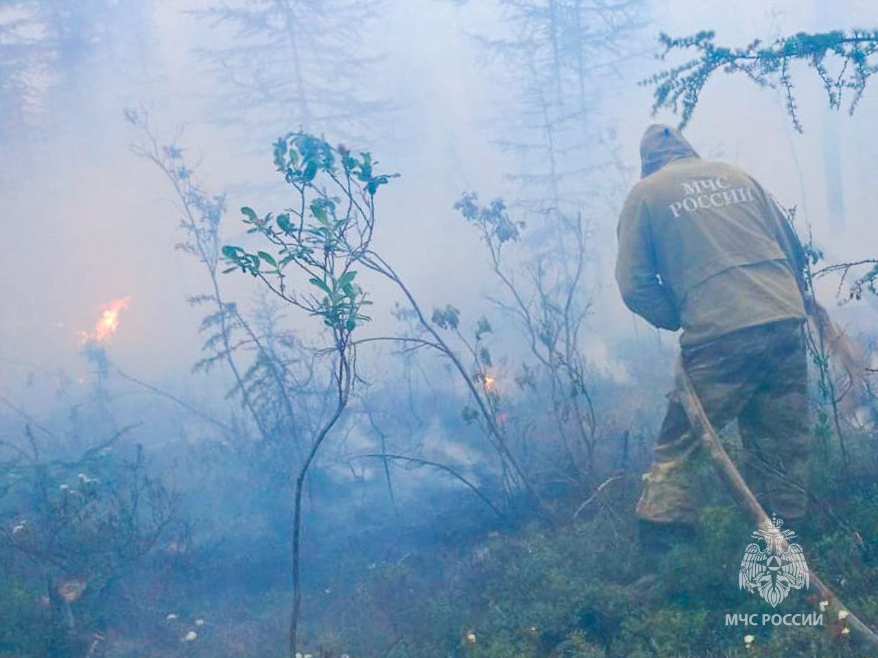 В восьми районах Якутии удалось потушить лесные пожары