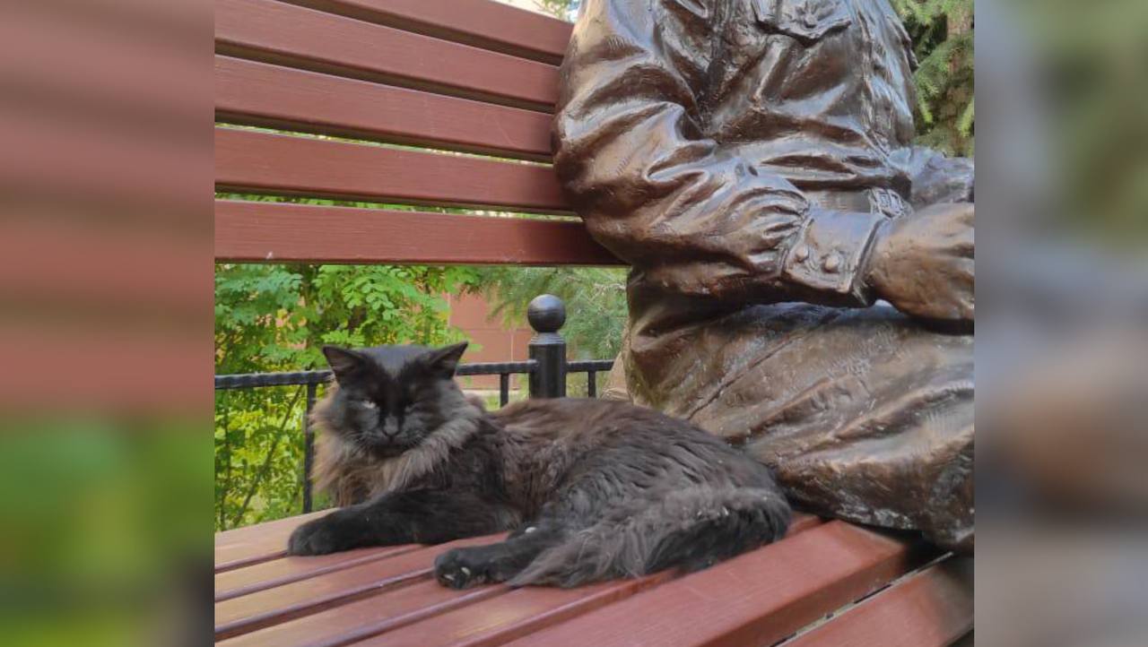 Фотофакт: кот Бегемот повадился ходить в русский театр Якутска