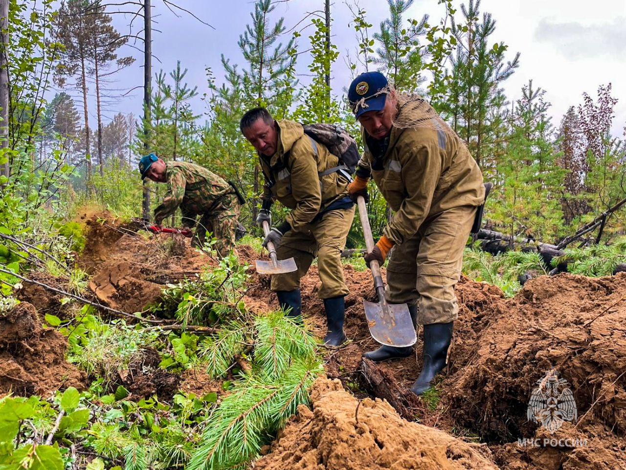В пяти районах Якутии за последние сутки ликвидировали 10 лесных пожаров