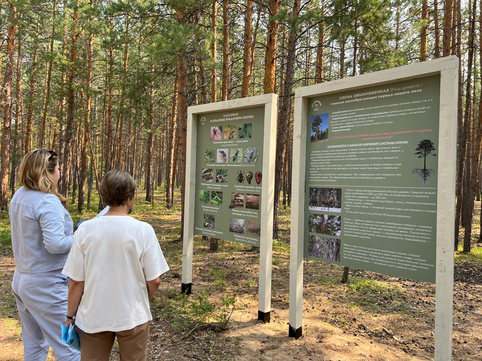 Экологическая тропа открылась в парке культуры и отдыха Якутска