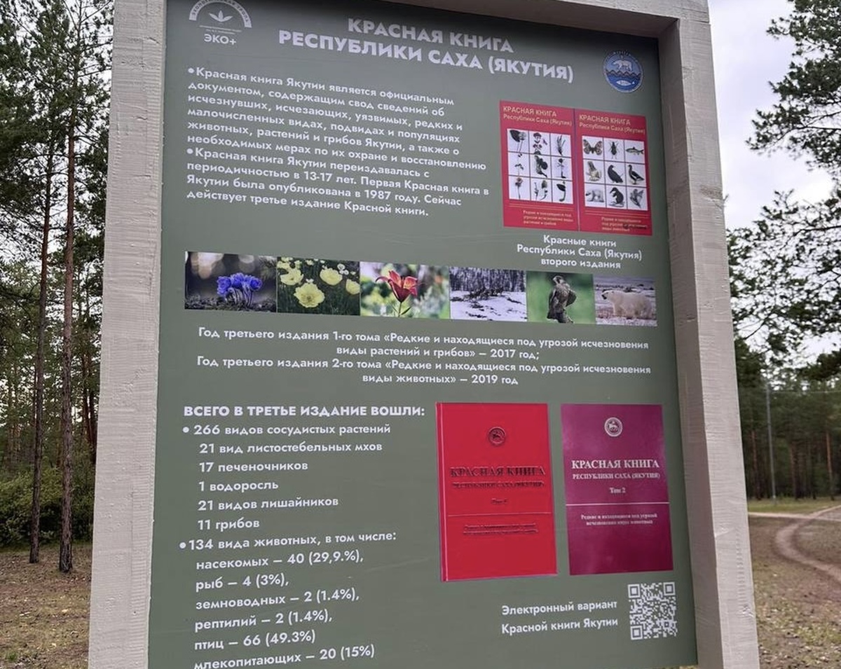 В городском парке Якутска открылась новая экологическая тропа