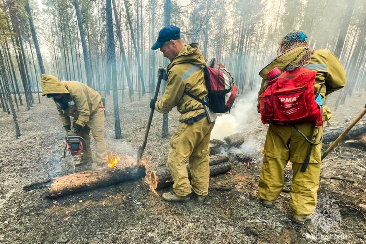 В Якутии за сутки ликвидированы и локализованы лесные пожары на площади более 120 тысяч га