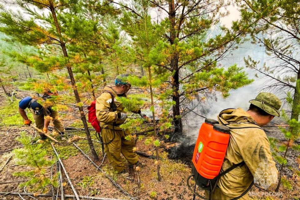 В Якутии за сутки потушили лесные пожары на площади более 28 000 га