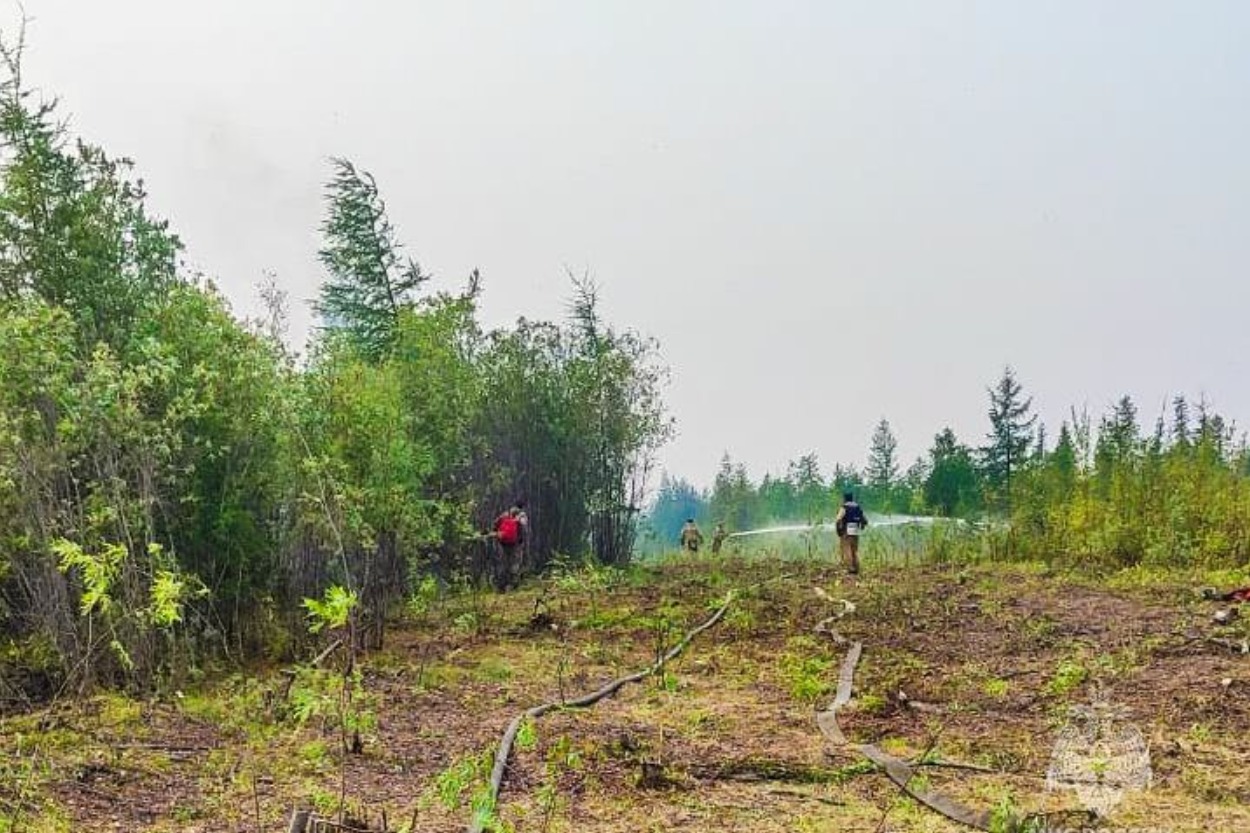 В Якутии за сутки ликвидировано 15 лесных пожаров