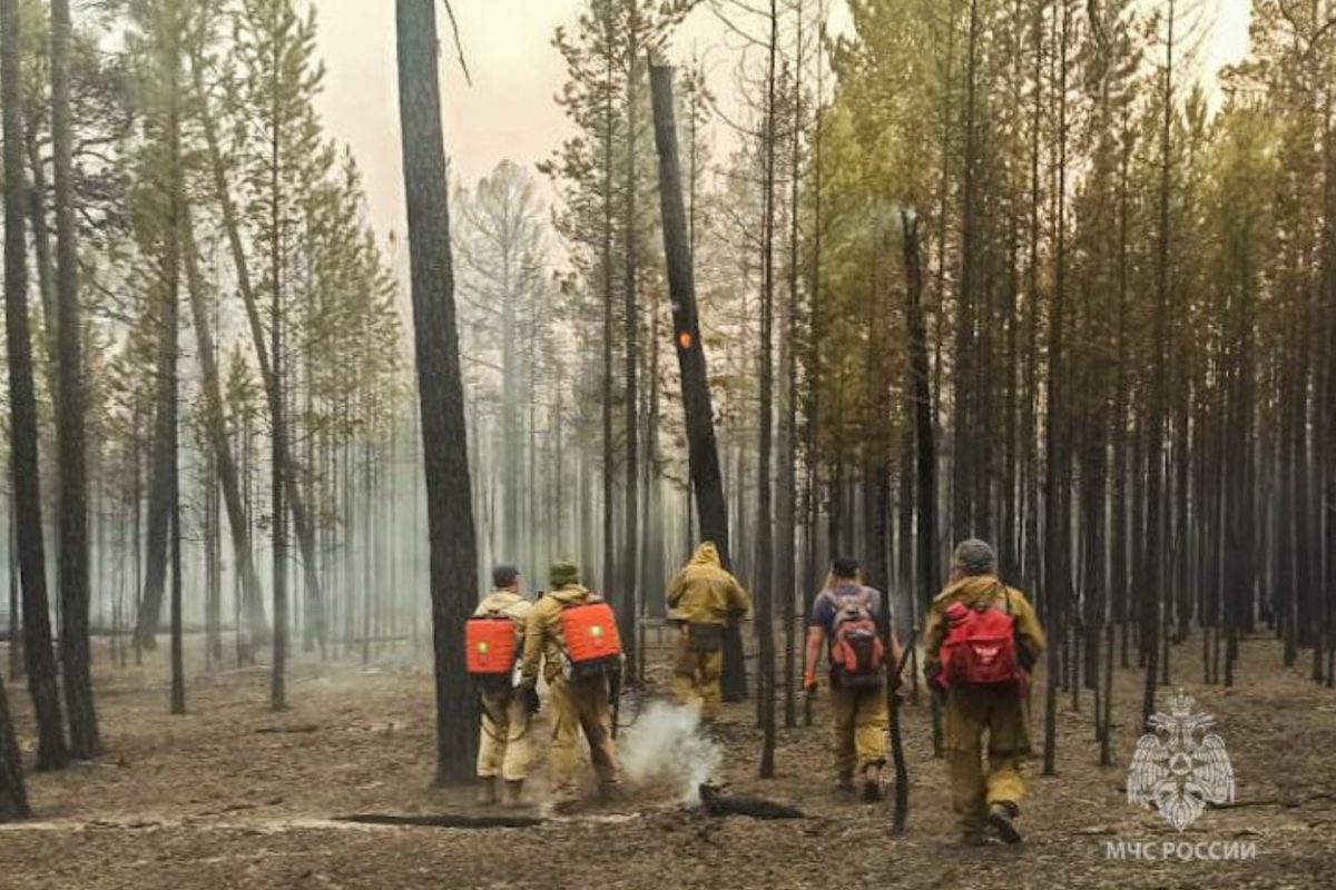 В Якутии за последние сутки ликвидировали пять лесных пожаров