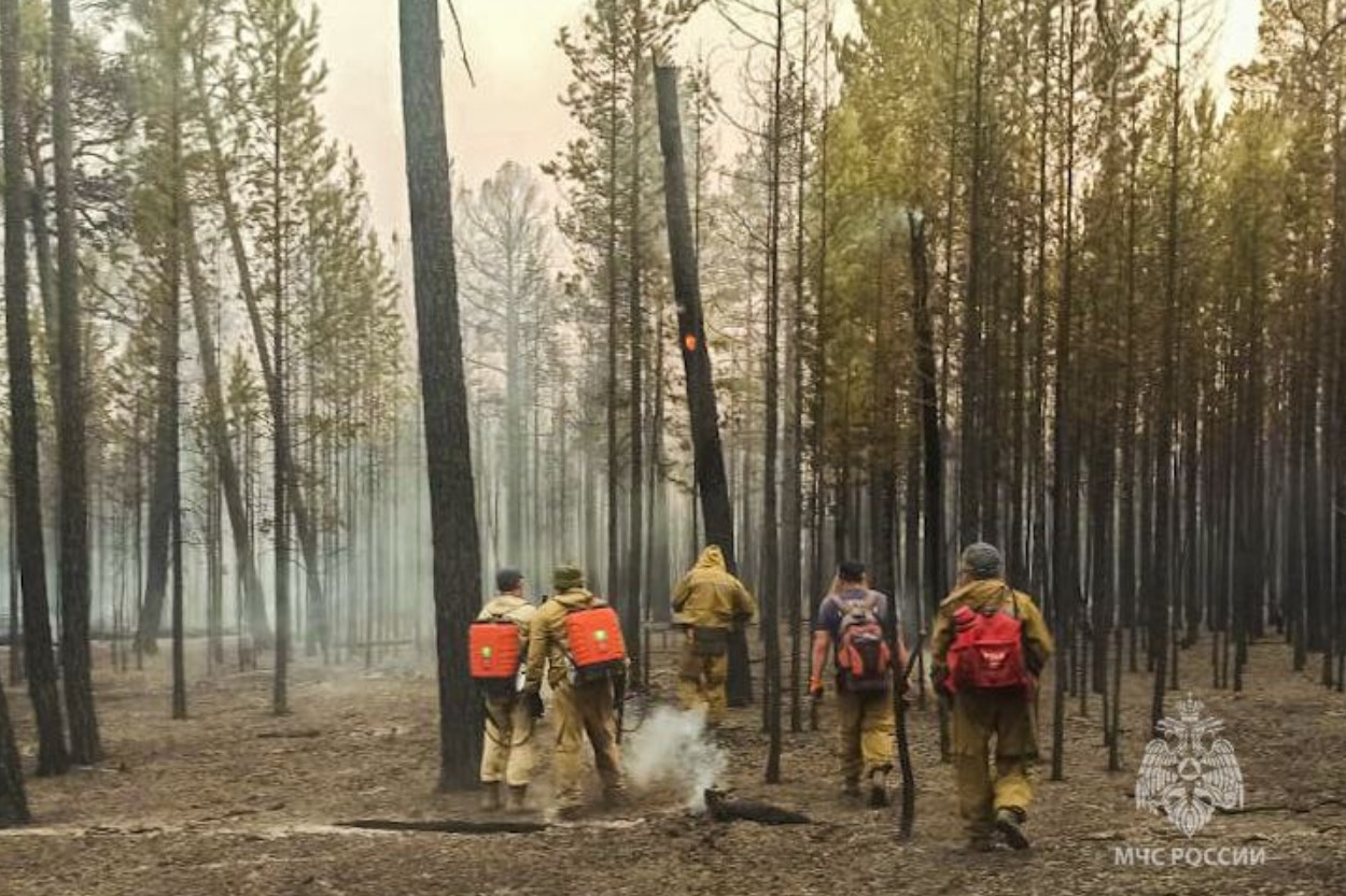 Более 100 человек работают над ликвидацией лесных пожаров в Абыйском районе