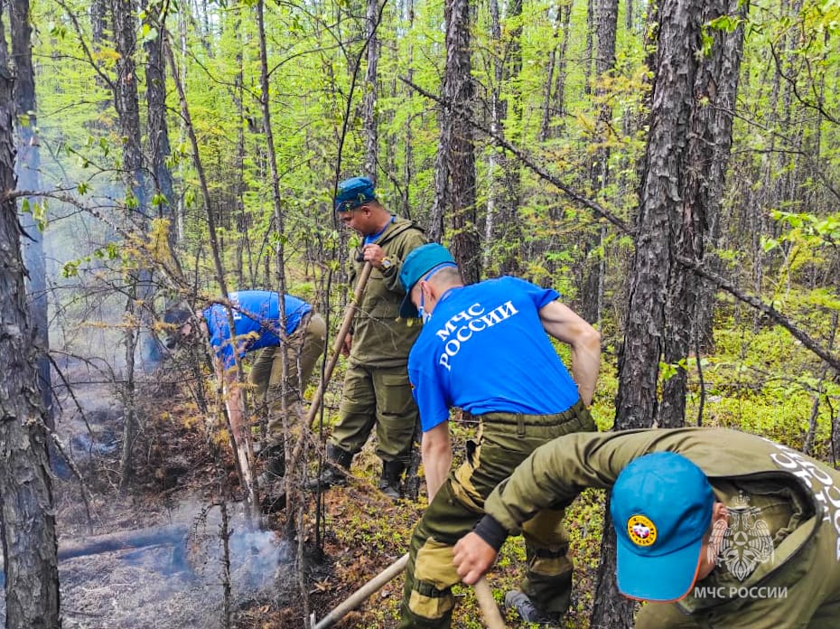В Якутии увеличили группировки сил и средств на борьбу с лесными пожарами