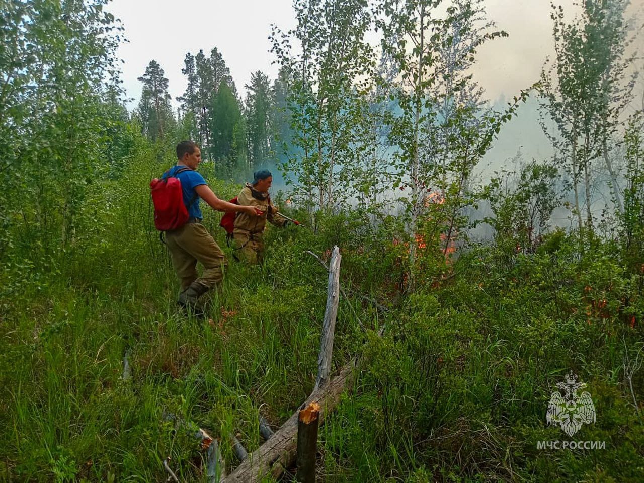 Десять лесных пожаров потушено за день в Якутии