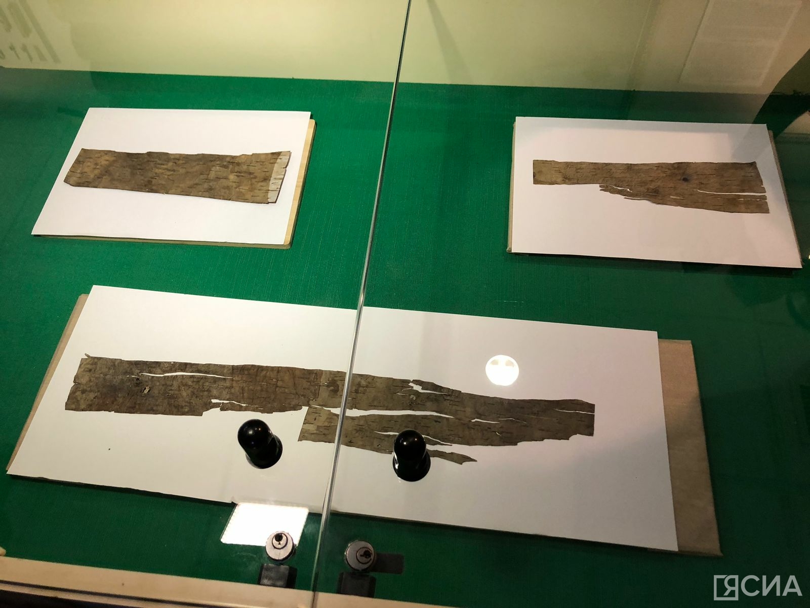 Найденные в Якутске берестяные грамоты передадут в Музей археологии и этнографии СВФУ
