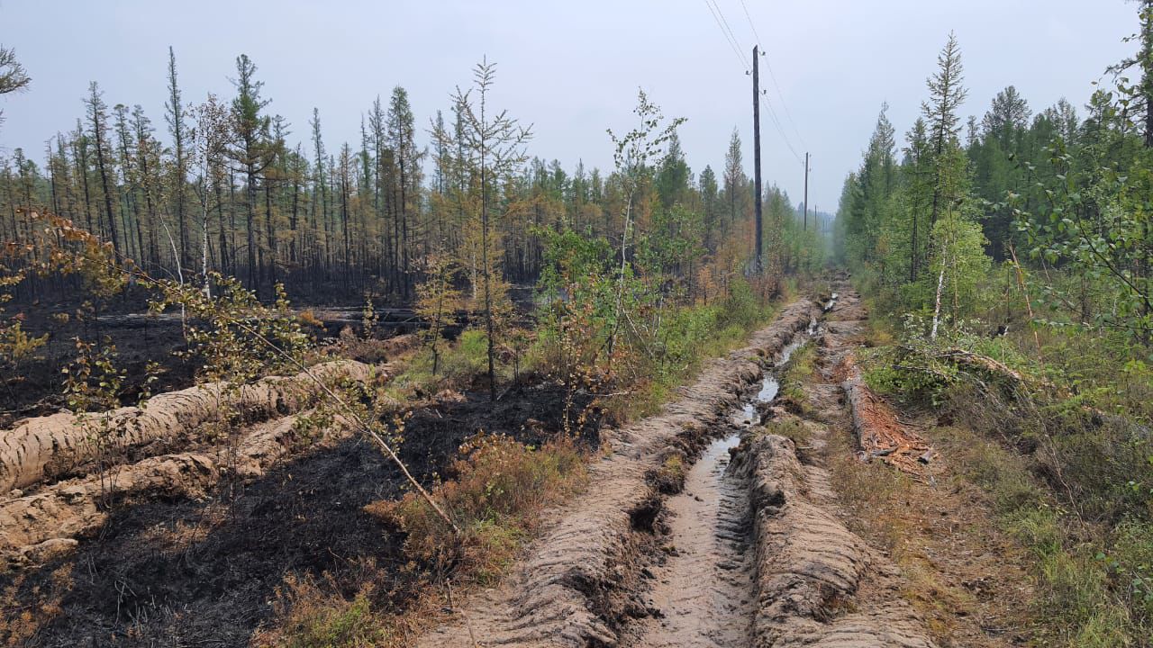 Энергетики восстанавливают поврежденные лесным пожаром линии в Верхневилюйском районе
