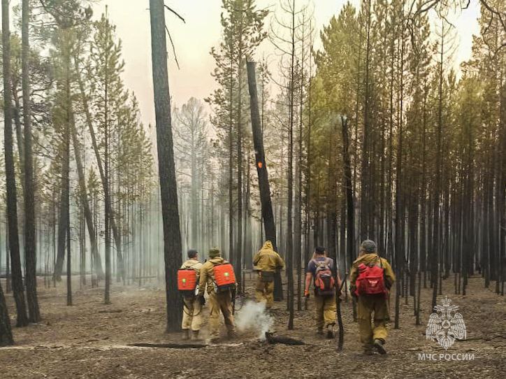 В Якутии за сутки ликвидировано восемь лесных пожаров