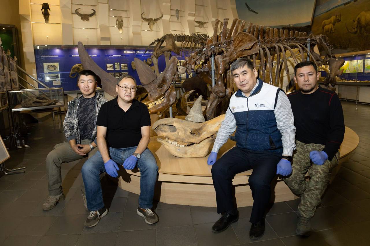 Останки древнего шерстистого носорога с мягкими тканями обнаружили в Якутии