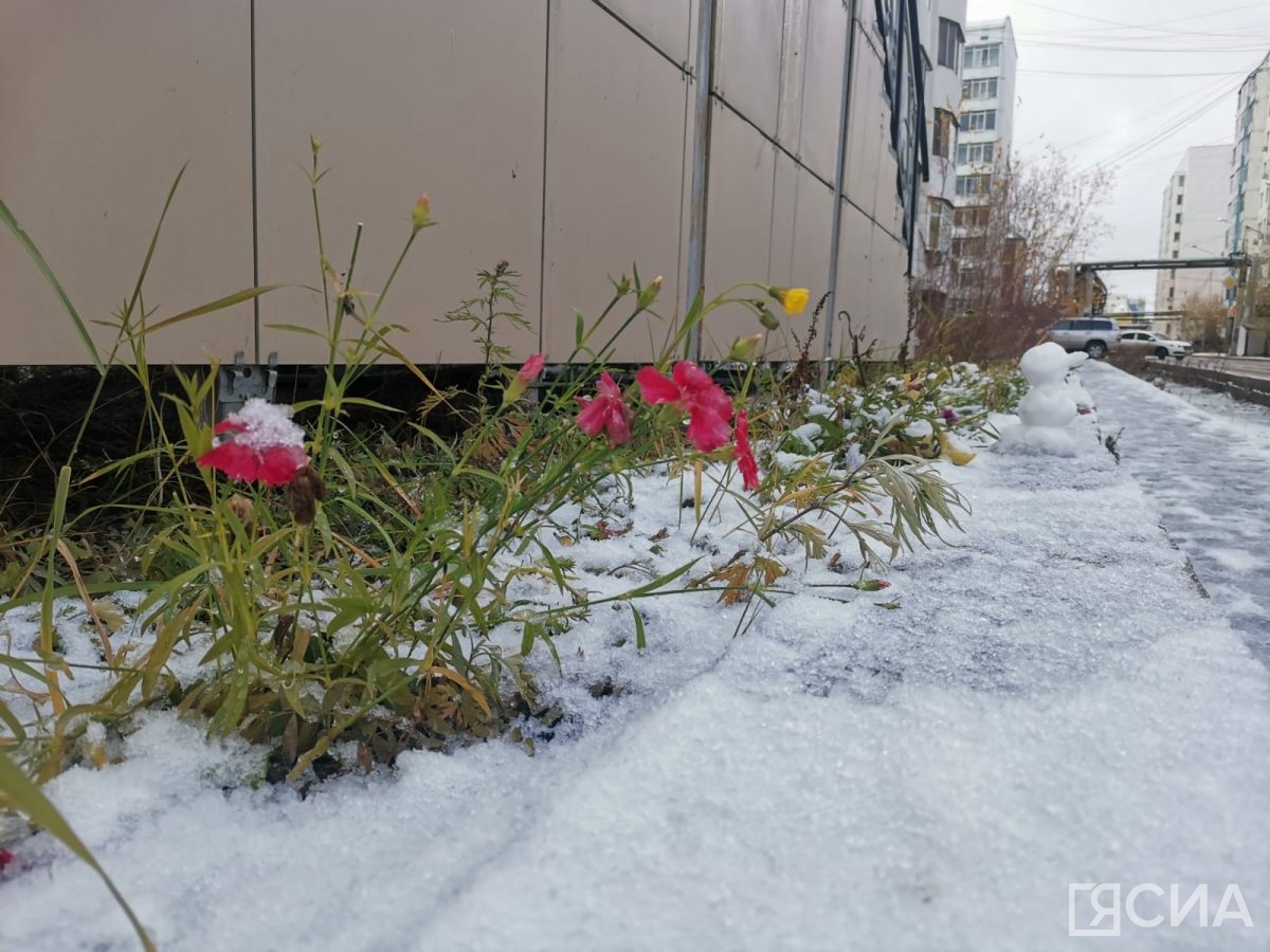 Снегопад ожидается в Якутске и многих районах республики