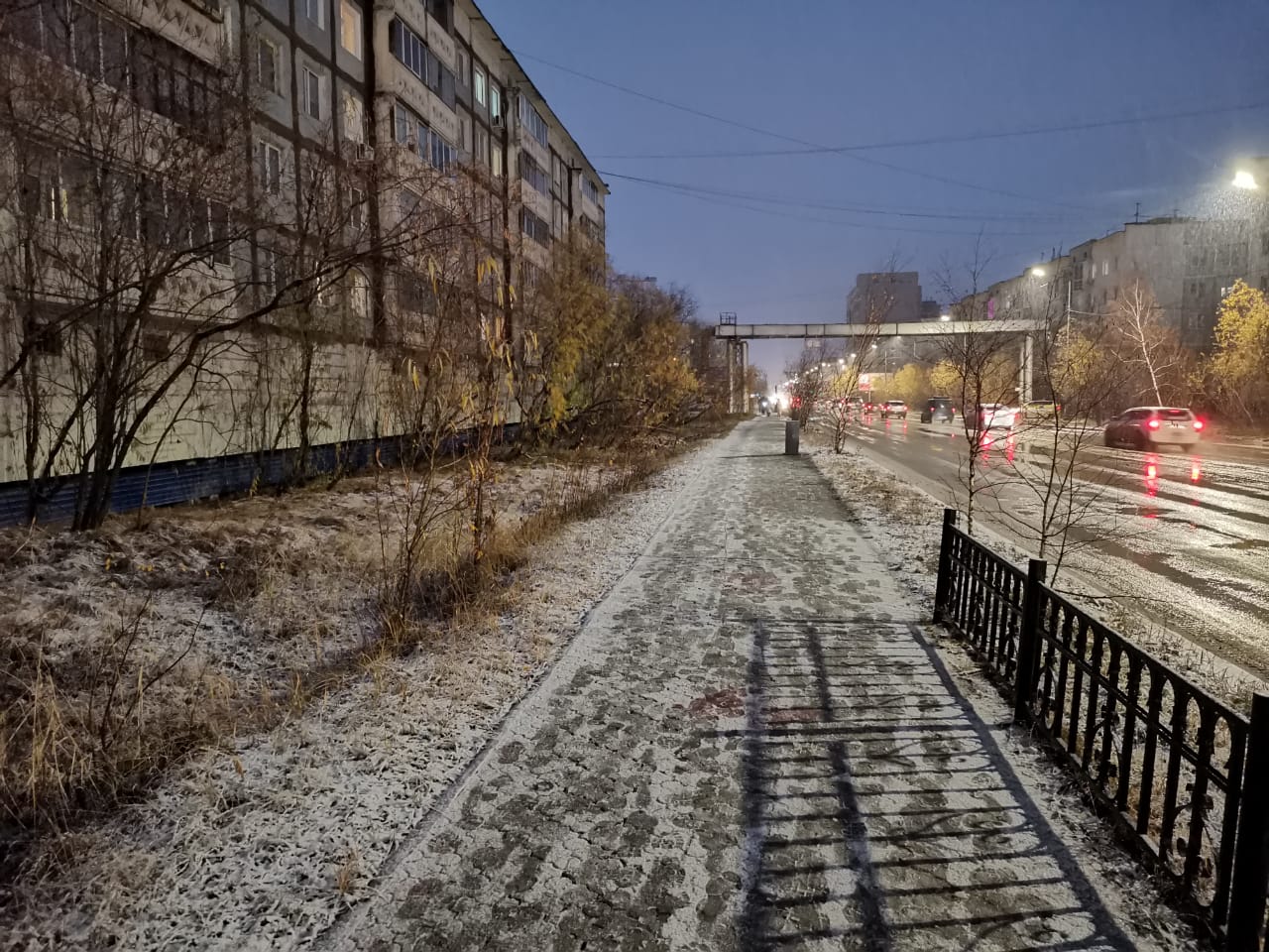 Фото: Нарыйа Пахомова, ЯСИА