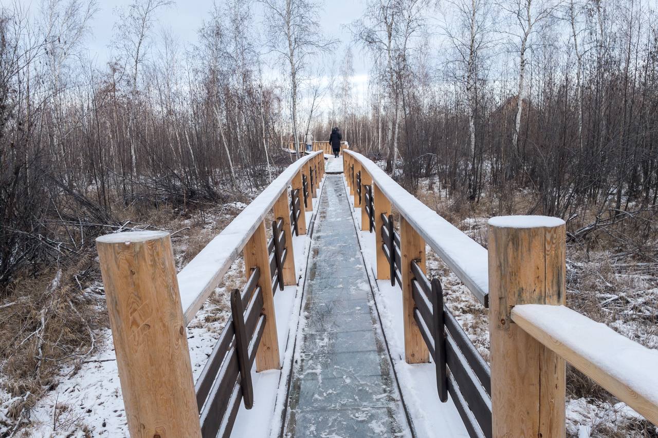 Фото: Майя Гоголева/ЯСИА