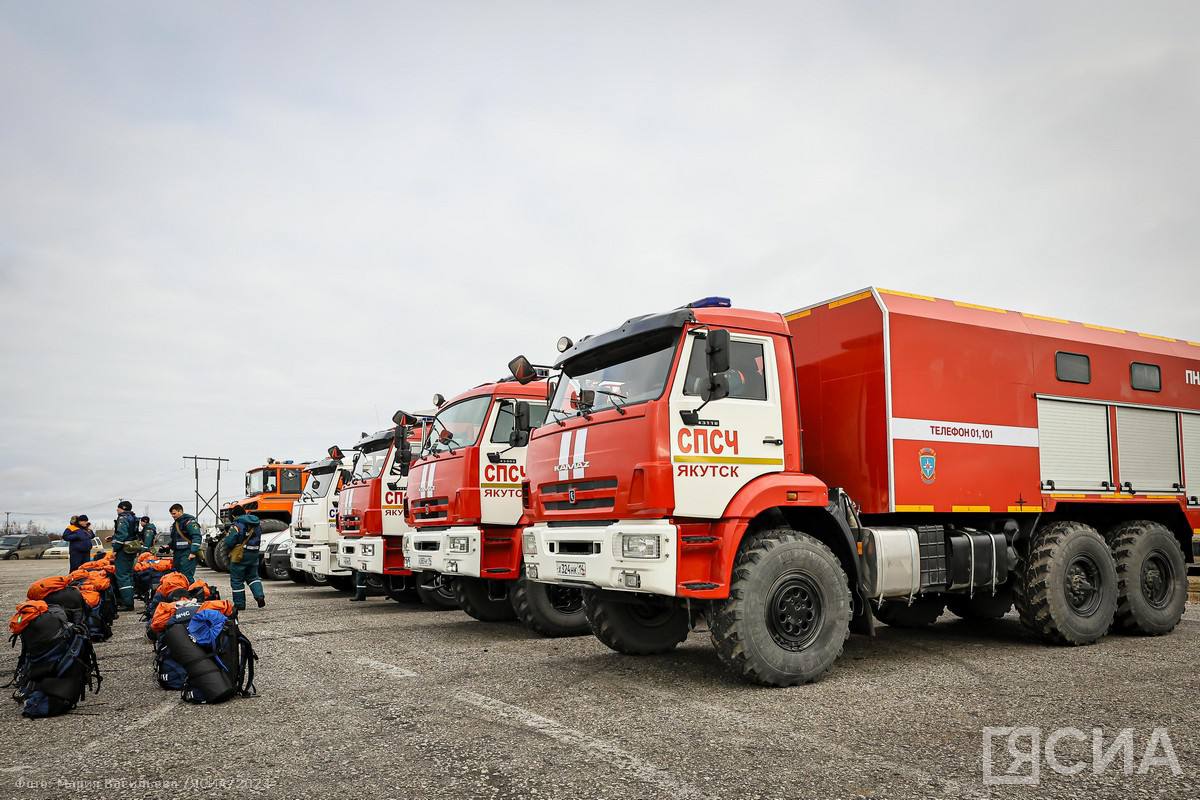 Фото: Мария Васильева/ЯСИА