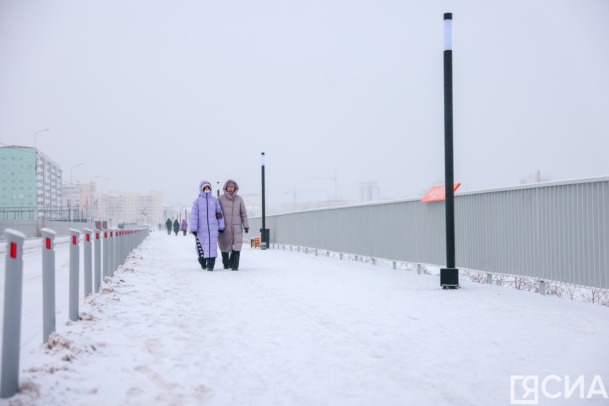 Фото: Андрей Сорокин/ЯСИА