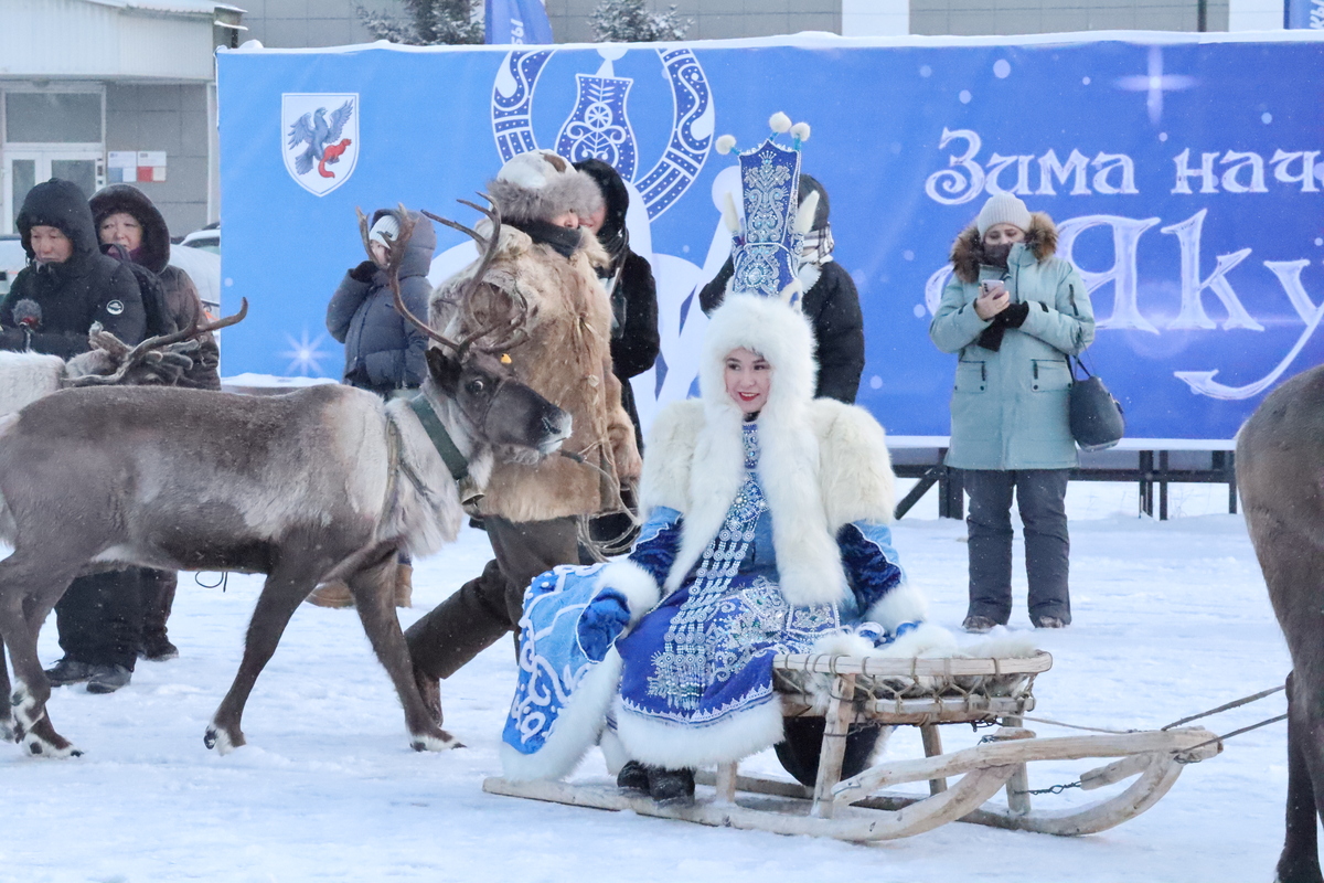 Фото: Майя Гоголева/ЯСИА